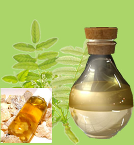 Frankincense Oil